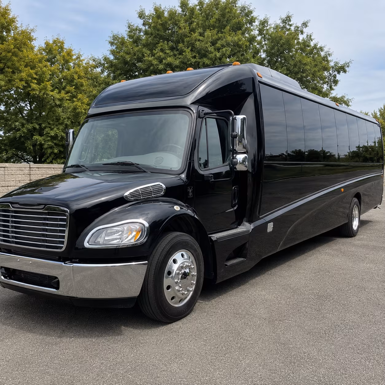 sugar land 18 passenger minibus