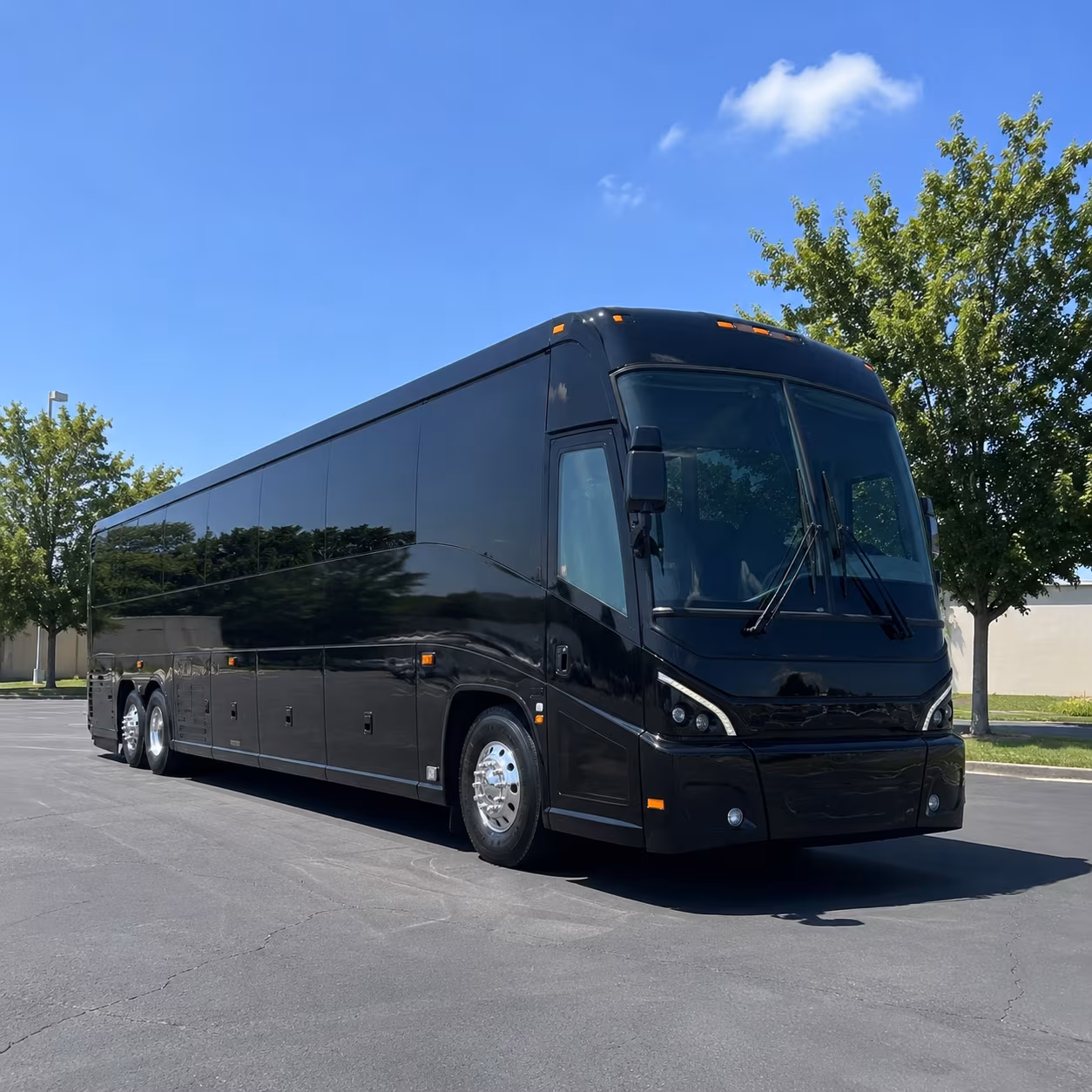sugar land 56 passenger charter bus