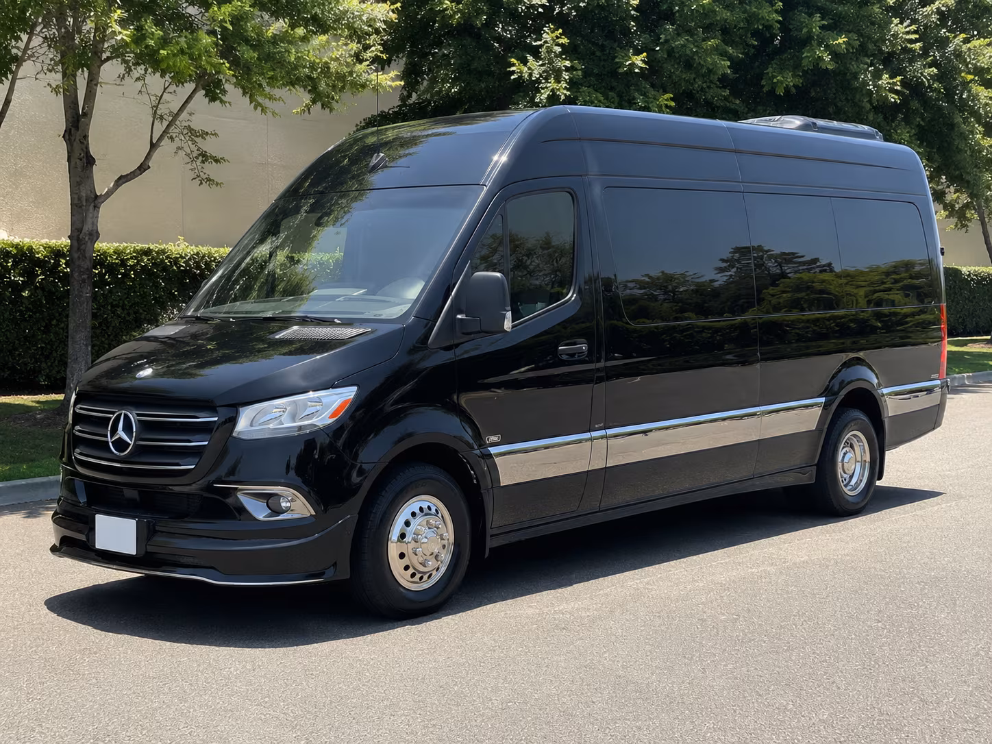 sugar land sprinter van with driver